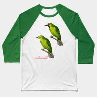 Lesser Green Leafbird | Chloropsis cyanopogon ⚥ Baseball T-Shirt